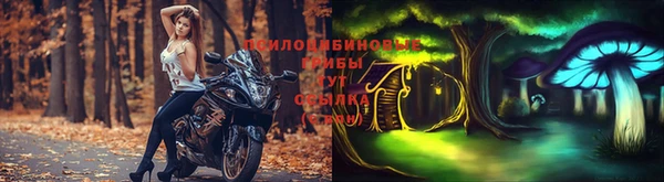 дурь Кодинск