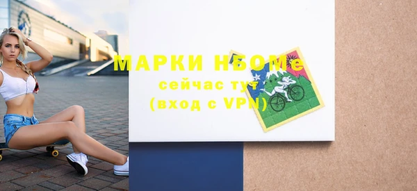 индика Козловка