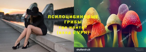 дурь Кодинск
