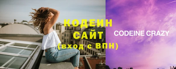 индика Козловка