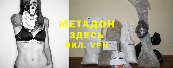 индика Козловка