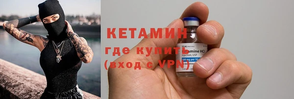 индика Козловка
