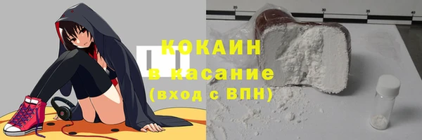 индика Козловка
