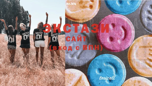 индика Козловка