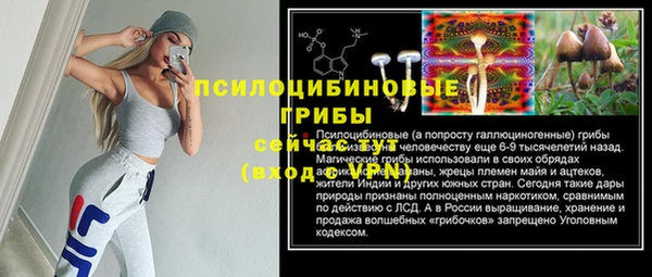 дурь Кодинск