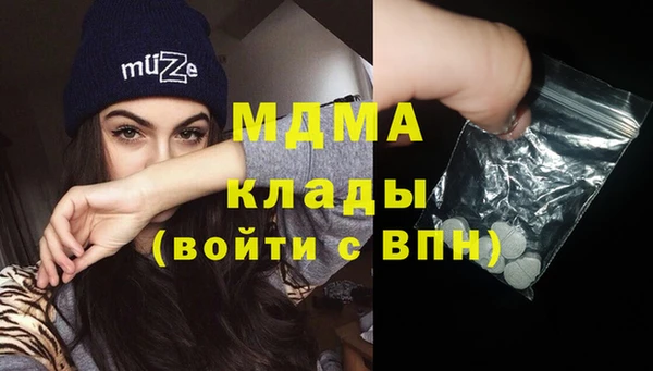 индика Козловка