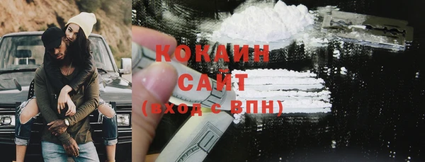 индика Козловка
