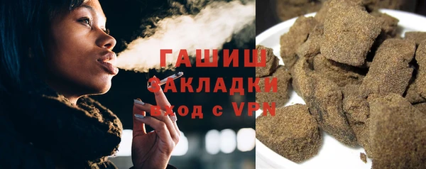 индика Козловка