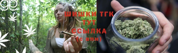 трава Козельск